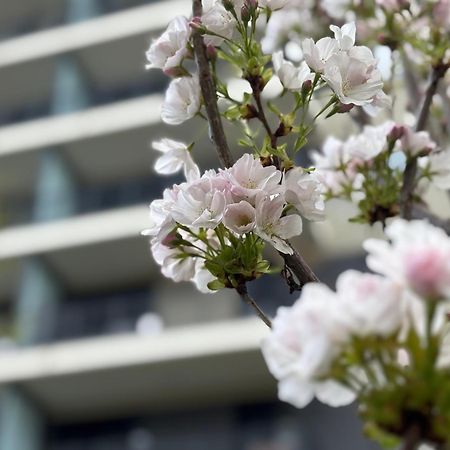 בודפשט Japandi Studio Apartment, Free Parking מראה חיצוני תמונה